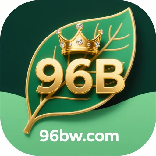96b.com